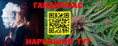 гидропоника Камышлов