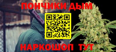 гидропоника Камышлов