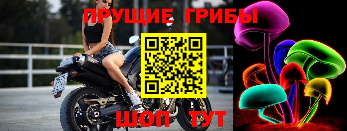 Псилоцибиновые грибы прущие грибы Ликино-Дулёво