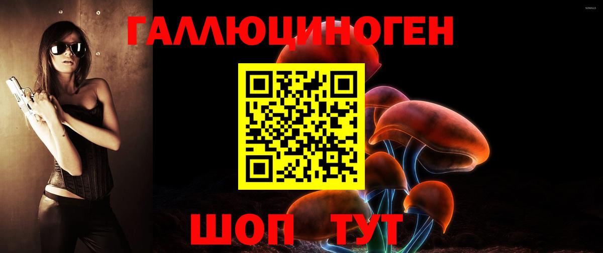 Ликино-Дулёво  Псилоцибиновые грибы прущие грибы  Вход с VPN 
